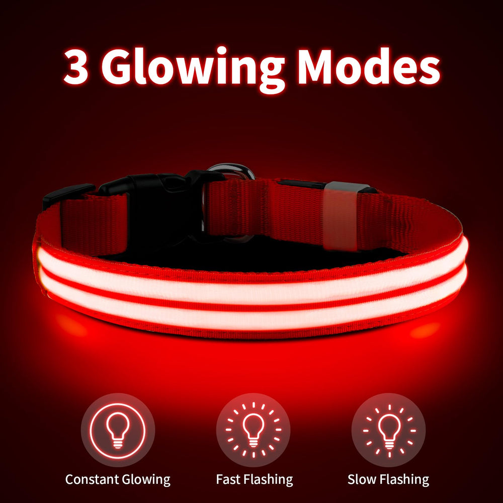 PcEoTllar lighted collar at night enhances safety during evening walks