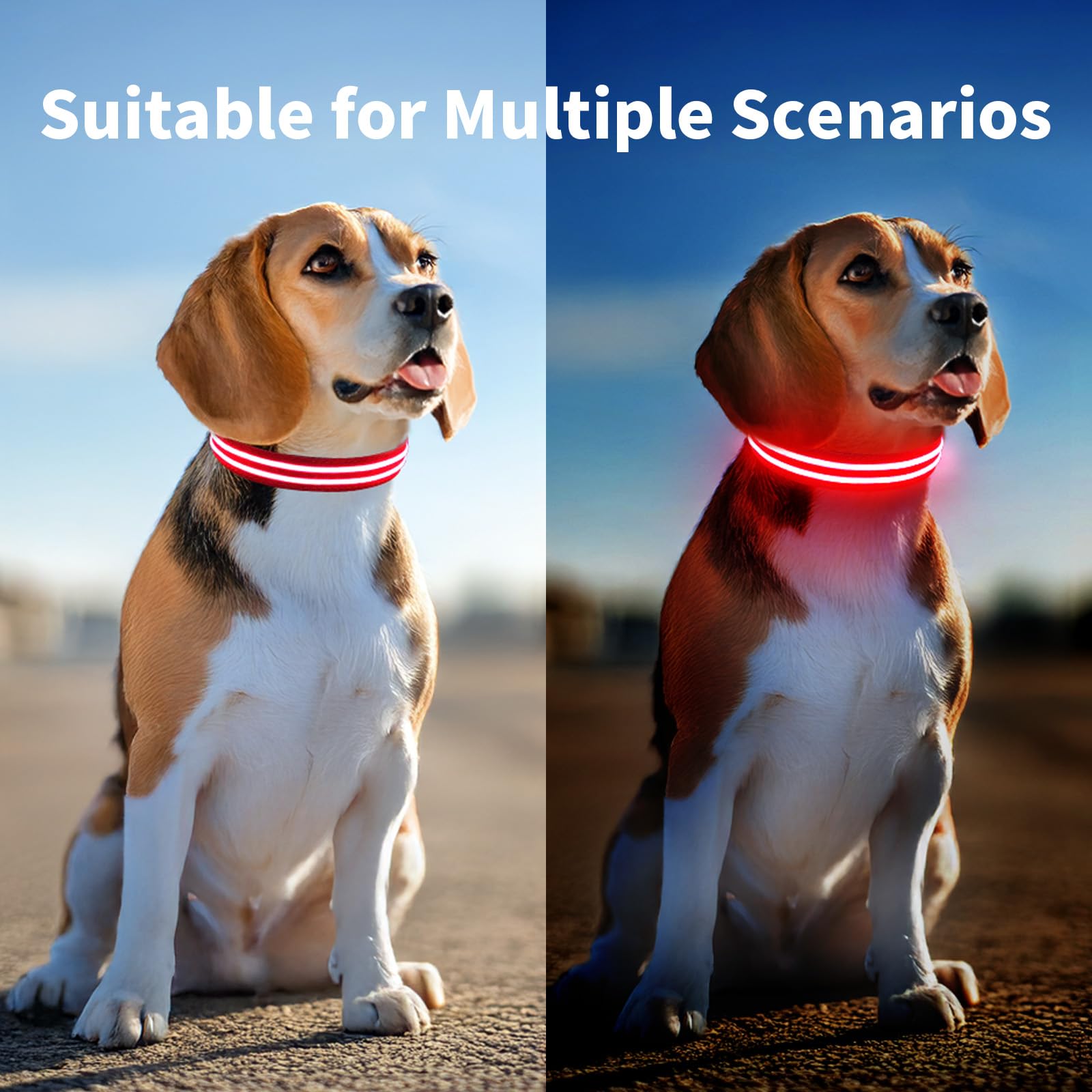 PcEoTllar lighted collar charging via USB for convenient recharging