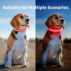 PcEoTllar lighted collar charging via USB for convenient recharging