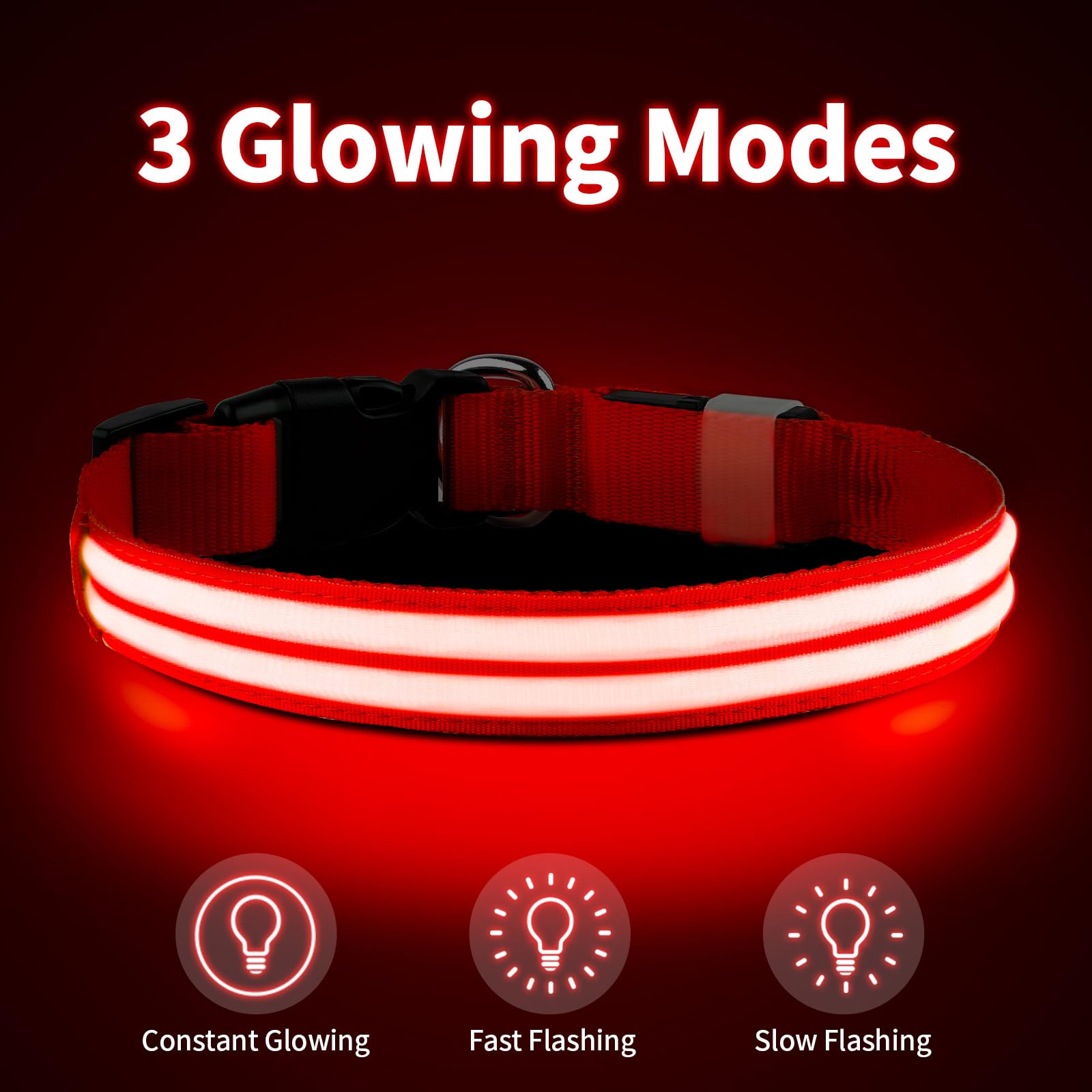 PcEoTllar lighted dog collar shows night visibility during evening strolls