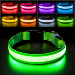 PcEoTllar lighted dog collar improves night visibility for safer night walks