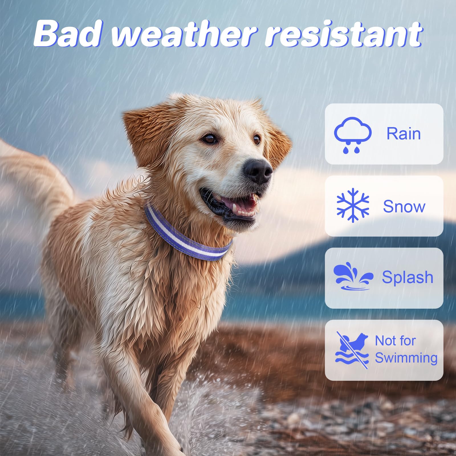 PcEoTllar night-walk collar blue strap enables safer dusk outings and easy handling.