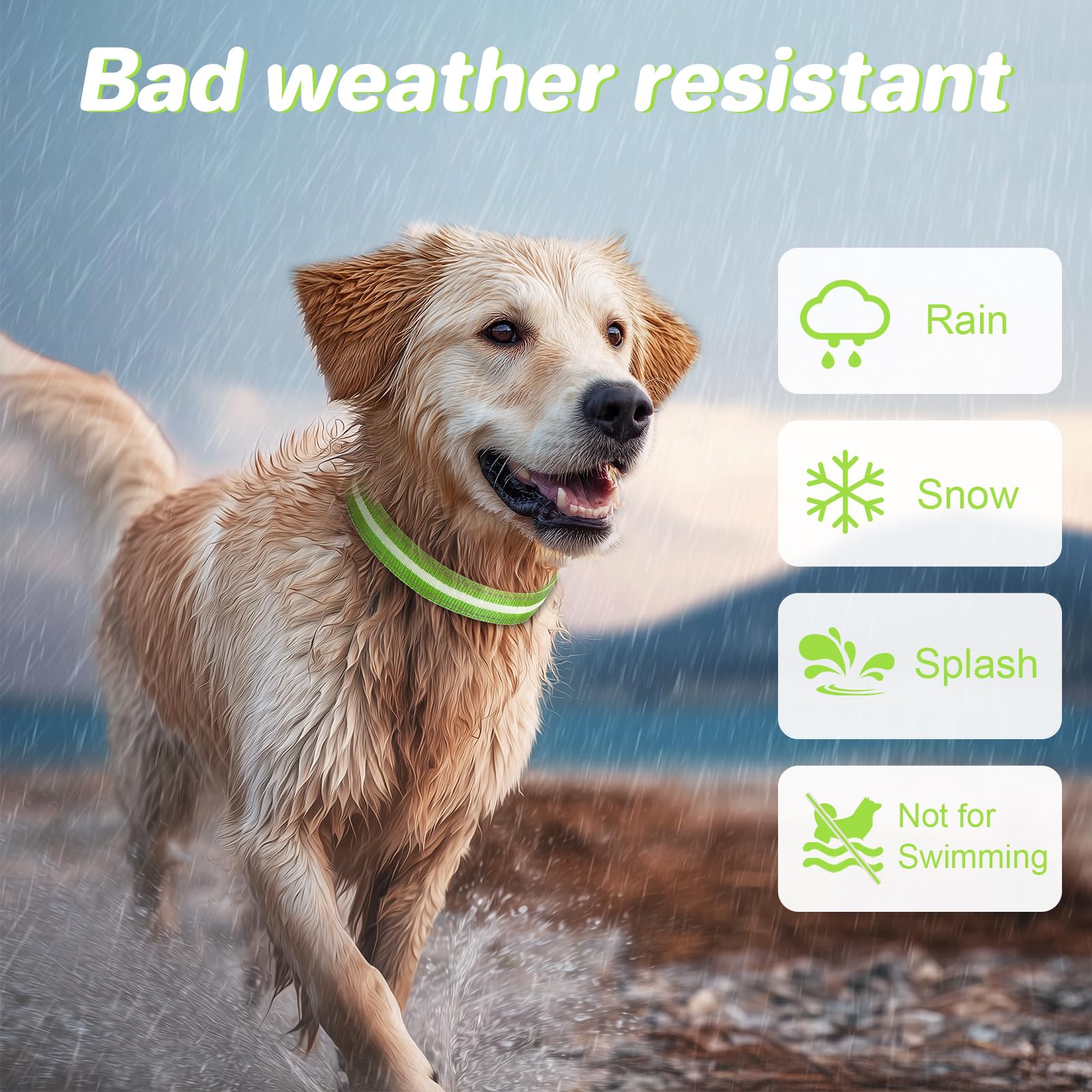 PcEoTllar green light up collar designed for nighttime walks.