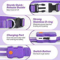 PcEoTllar rechargeable glow collar charges in about two hours for long outdoor sessions.