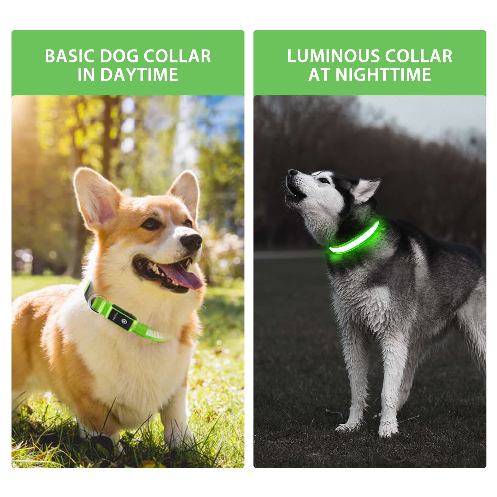 PcEoTllar rechargeable LED collar withstands splashes and outdoor play