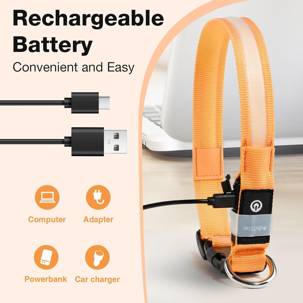 PcEoTllar rechargeable LED dog collar waterproof for swimming adventures