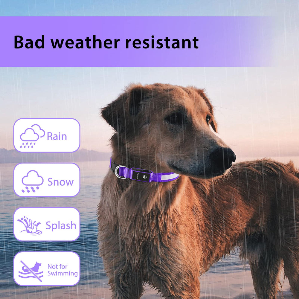 PcEoTllar RGB glow for improved visibility during dusk walks.