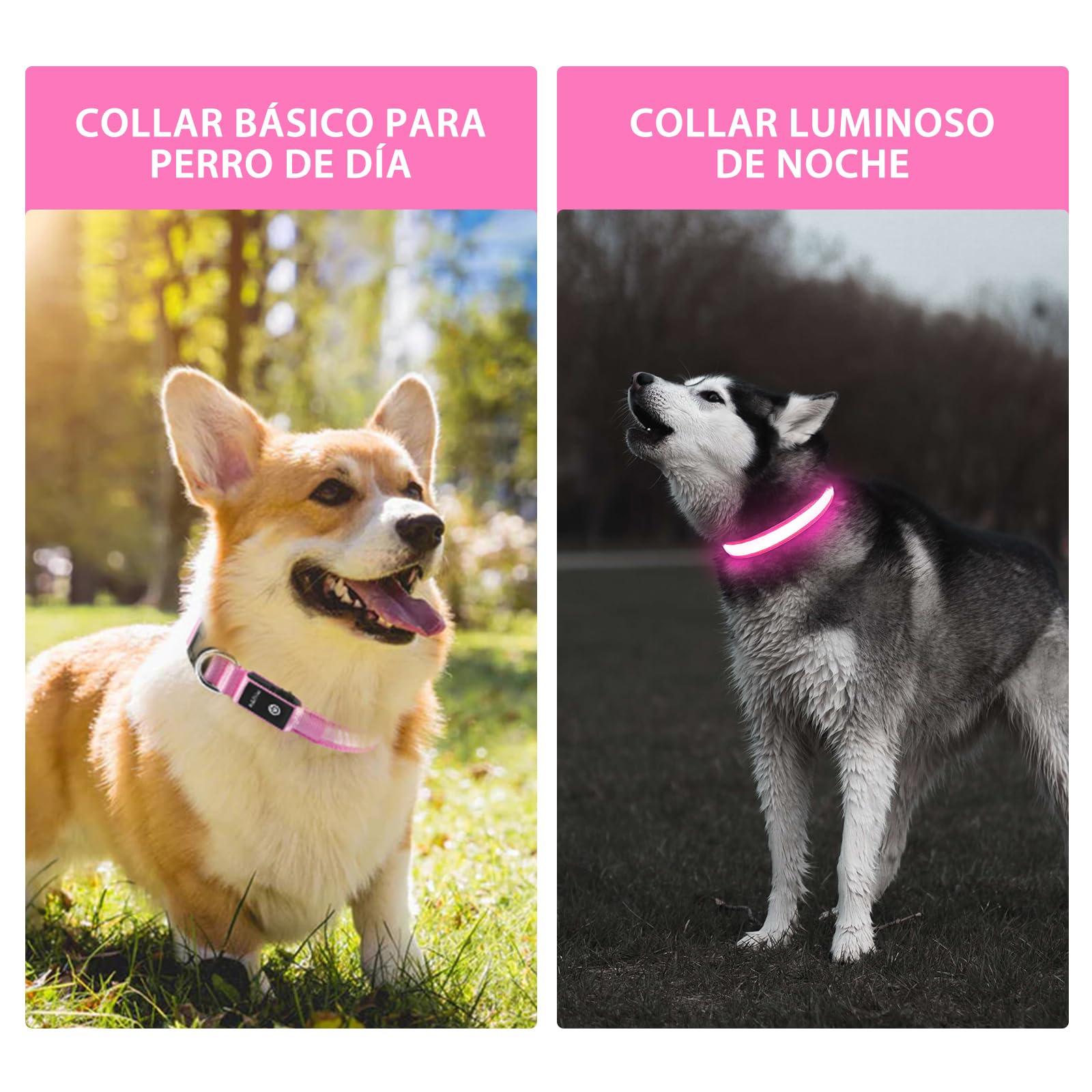 PcEoTllar waterproof dog collar designed for swimming and outdoor play