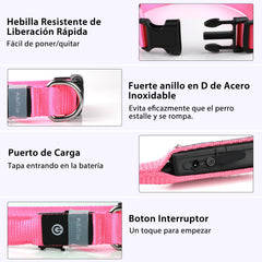 PcEoTllar waterproof rechargeable dog collar stays lit during swimming or rain