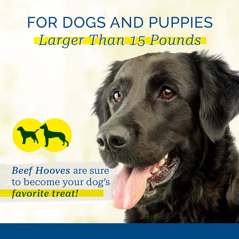 PCI Cow Bones 10 Pack USA-made label signals quality and domestic production