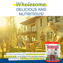 PCI Dehydrated lamb lung close-up with crisp, savory bites