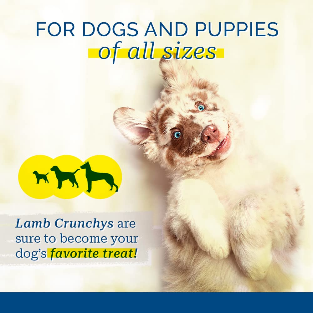 PCI Lamb Crunchys bite-sized pieces ideal for training rewards