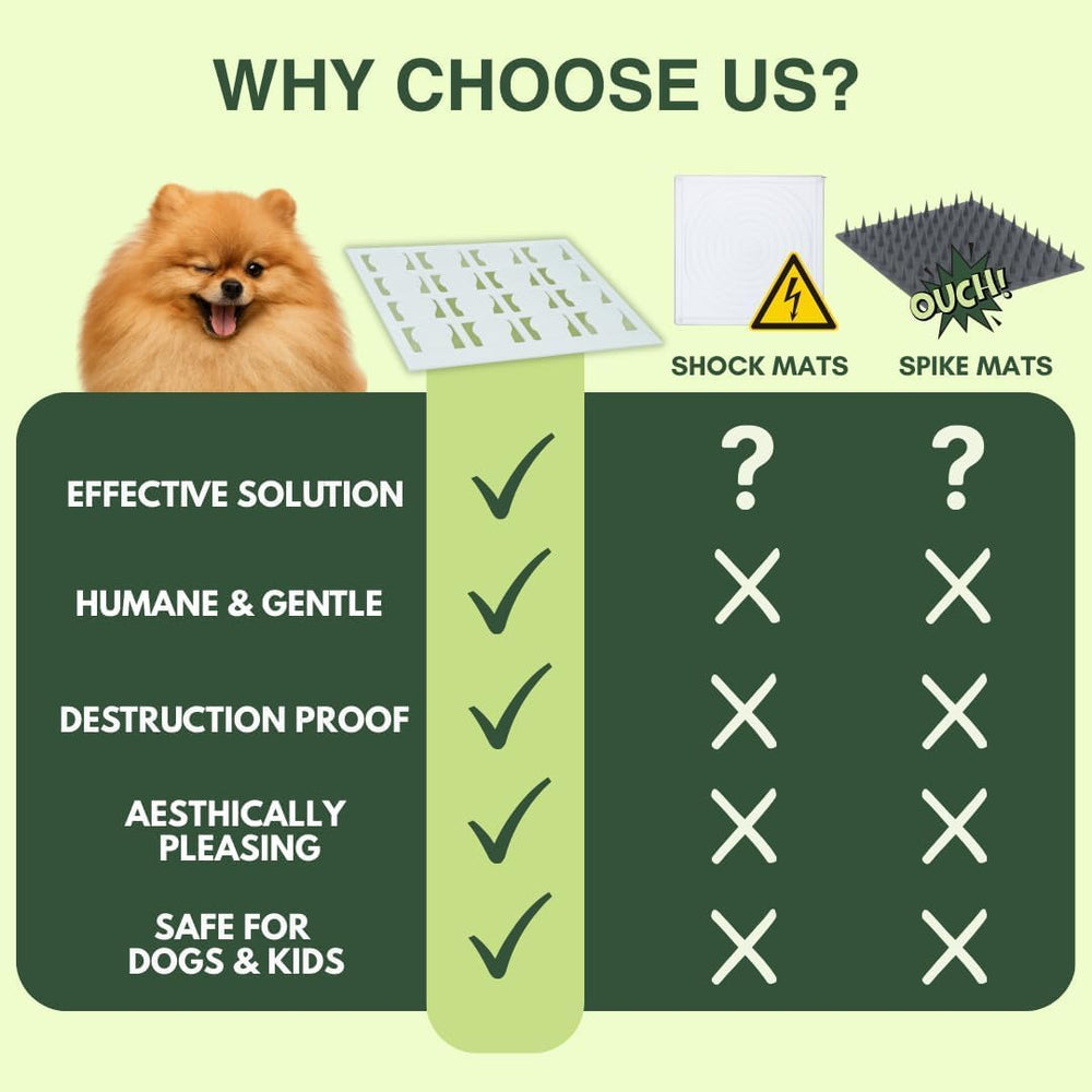 PEACHTREE PET easy-clean design makes maintenance quick after playful sessions.
