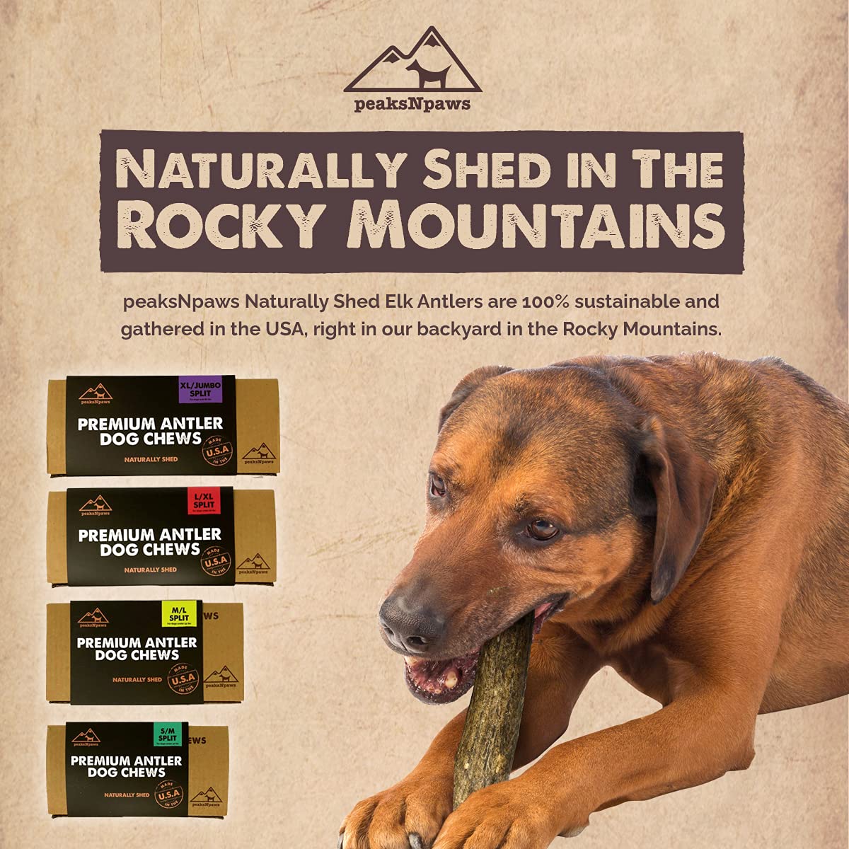 peaksNpaws elk antler dog chewing action demonstrates engaging chew session
