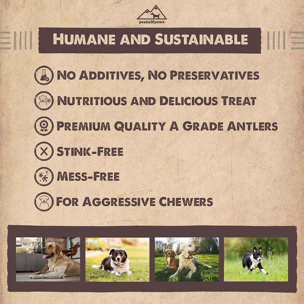 peaksNpaws packaging display shows USA-made product ready for gifting