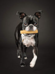 peaksNpaws Yak Cheese Himalayan Chews durability shot highlights tough chews for aggressive chewers