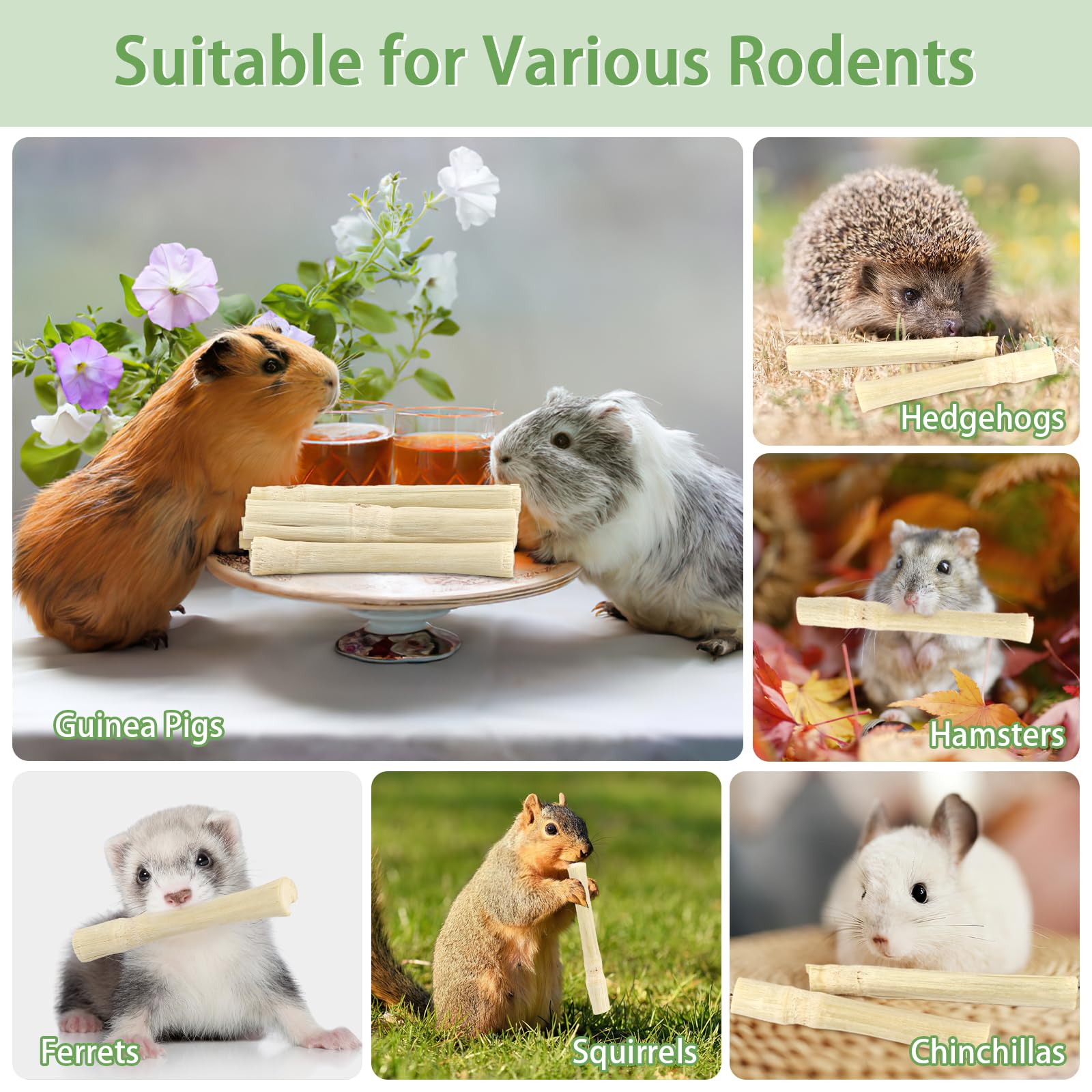 PEASUG versatile chews suit rabbits, chinchillas, guinea pigs, hamsters, and more.