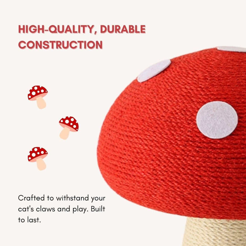 PECHVINO mushroom-cat-scratching-post-assembly with hardware and simple setup