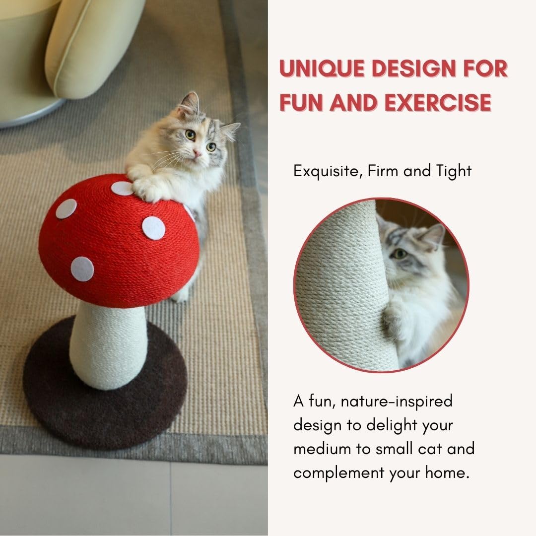 PECHVINO mushroom-cat-scratching-post-base-stability demonstrates solid base for energetic cats