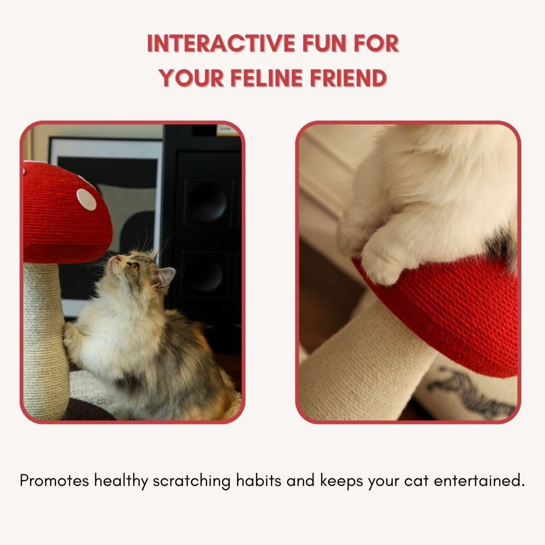 PECHVINO mushroom-cat-scratching-post-indoor-decor blends with home interiors