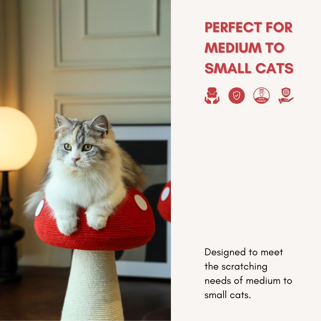 PECHVINO mushroom-cat-scratching-post-side-view shows compact footprint for small spaces