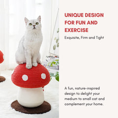 PECHVINO mushroom scratching post broad base provides stable support