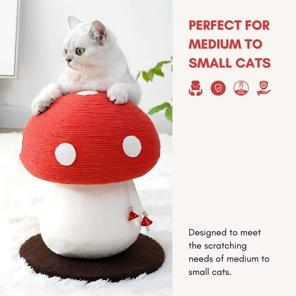 PECHVINO mushroom scratching post cat using it for exercise and enrichment