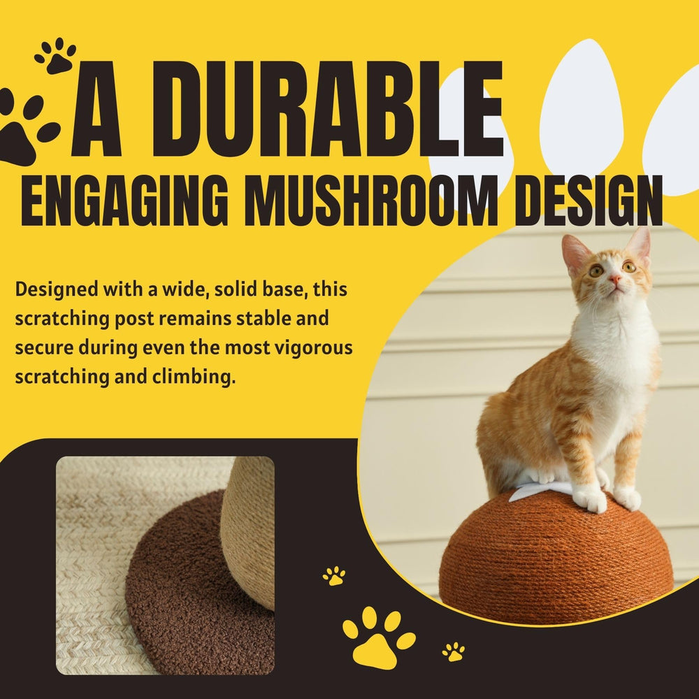 PECHVINO Shiitake pompom toy image shows playful engagement for indoor cats.