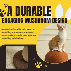PECHVINO Shiitake pompom toy image shows playful engagement for indoor cats.