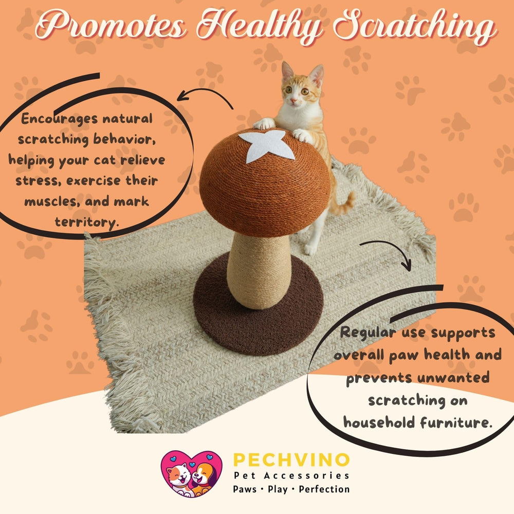 PECHVINO Shiitake sisal rope close-up highlights durable, claw-friendly texture for healthy scratching.