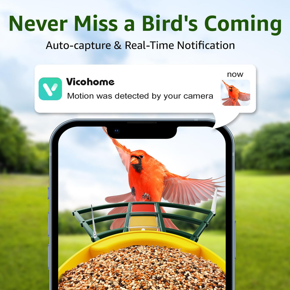 AI Bird ID detects 10,000+ species for educational backyard observation.