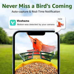 AI Bird ID detects 10,000+ species for educational backyard observation.