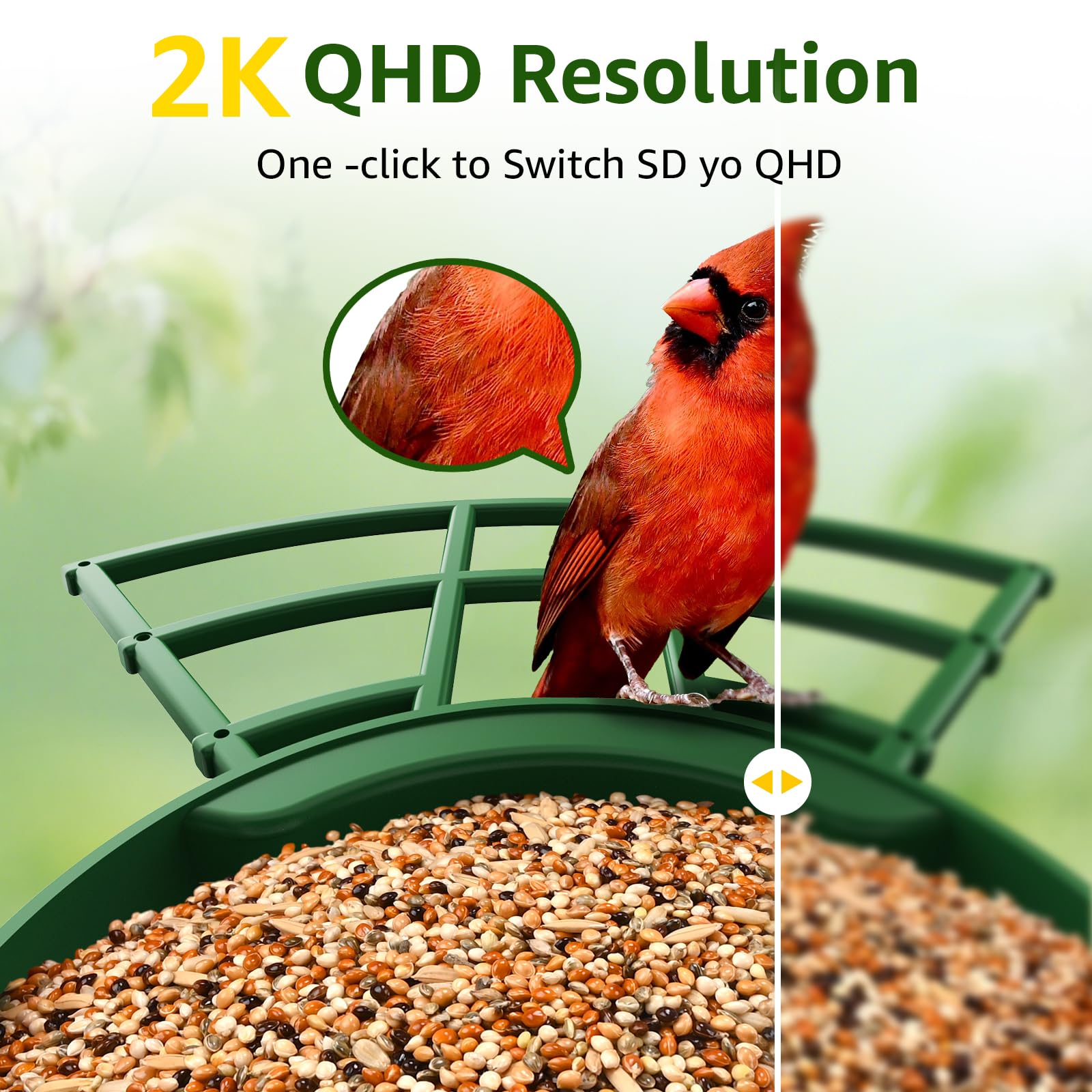 PeckCam AI bird ID highlights 10,000+ species for learning.