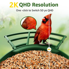 PeckCam AI bird ID highlights 10,000+ species for learning.
