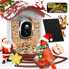 PeckCam bird feeder front view shows a 2K camera for real-time backyard birdwatching.