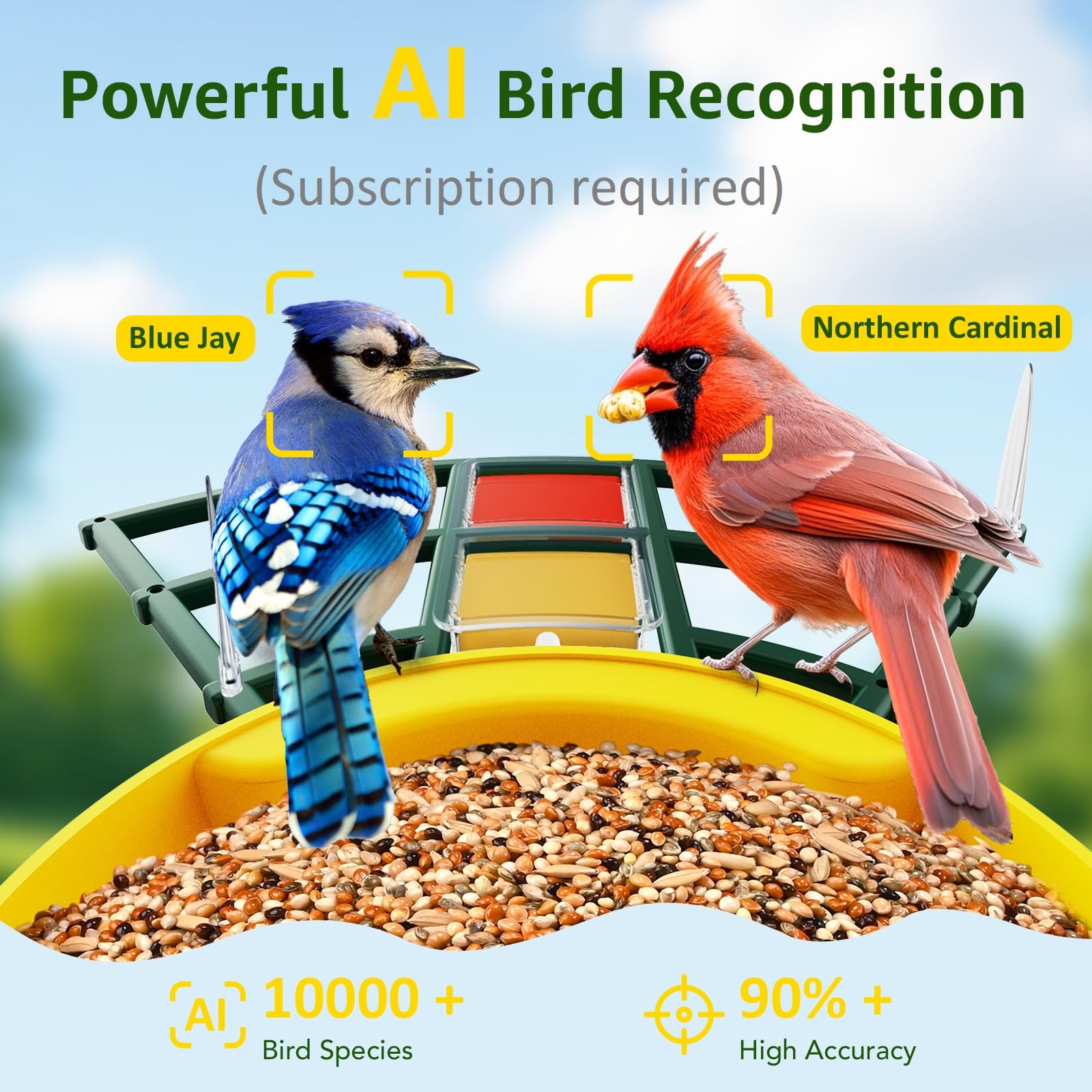 Four-viewer sharing enables family or friends to watch together.