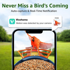 PeckCam four-viewer sharing enables family-friendly birdwatching together