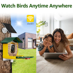IP65 weatherproof PeckCam feeder withstands rain, snow, and sun during seasons.