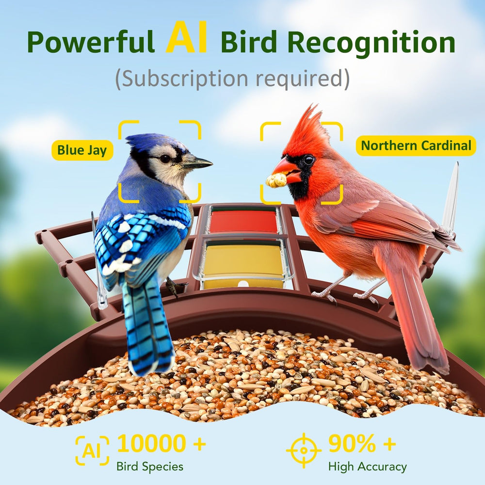 PeckCam live feed notifications illustrate real-time alerts for immediate bird activity.