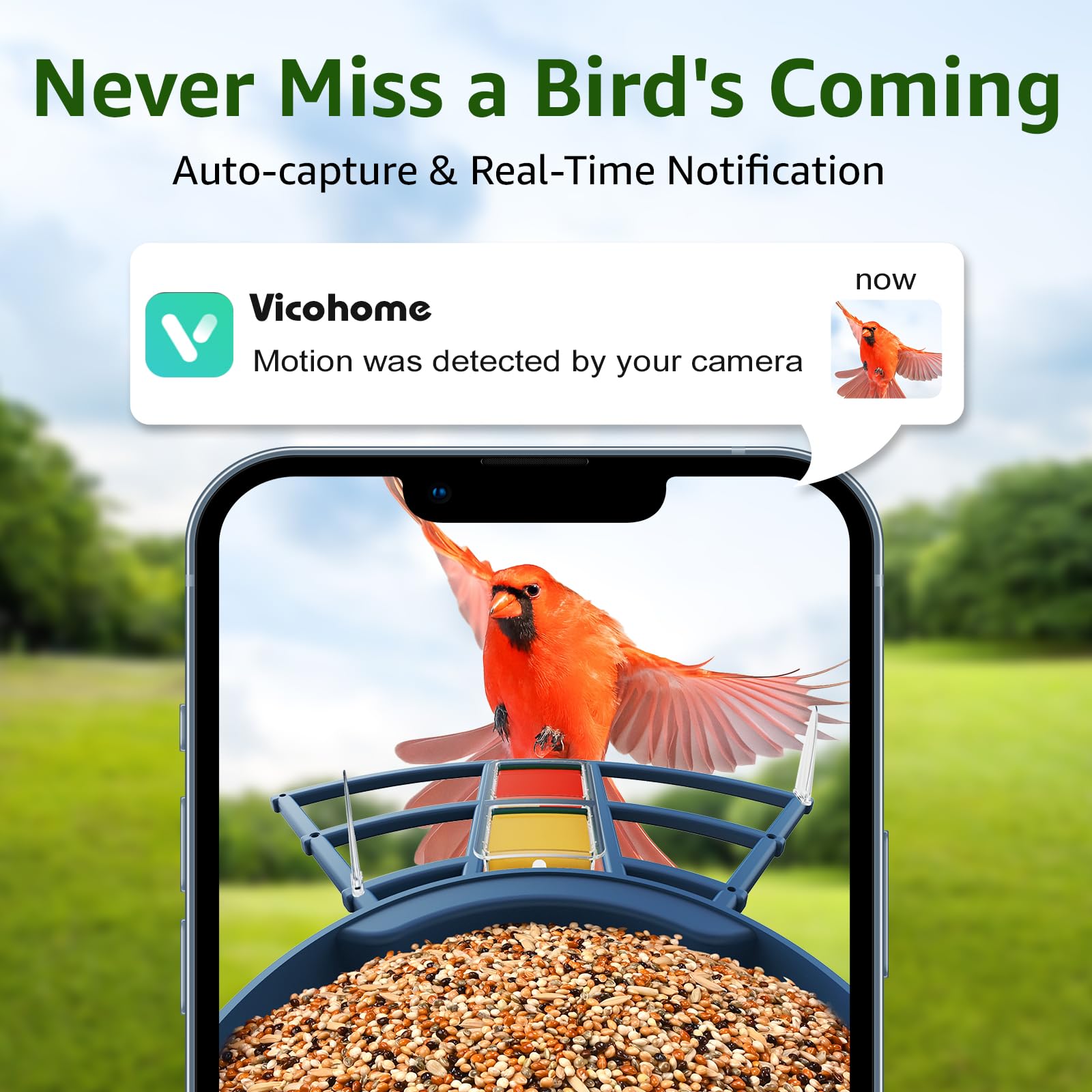 PeckCam perch attachments attract orioles and fruit loving birds.