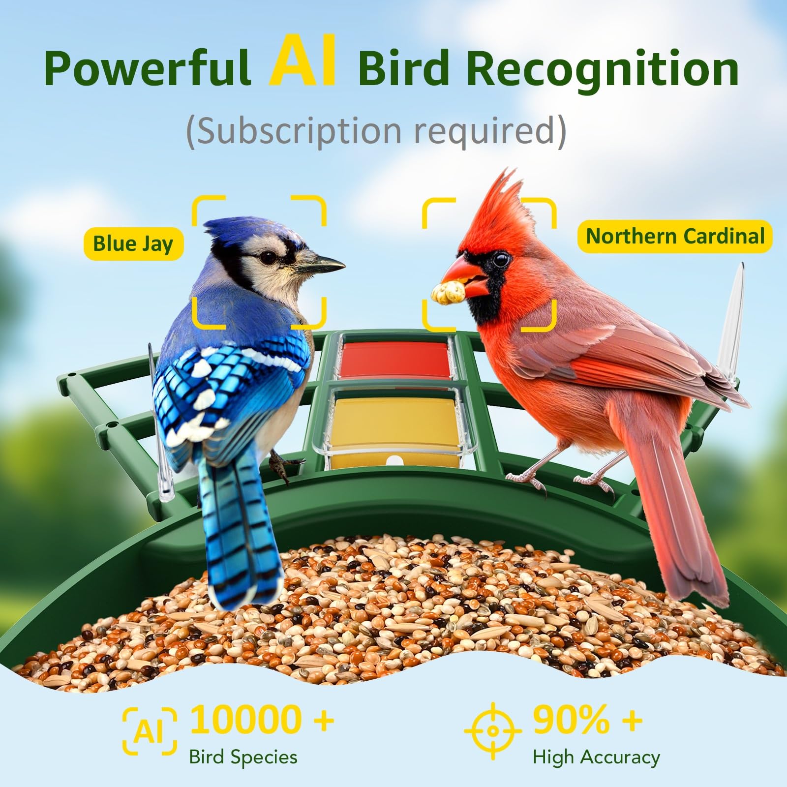 PeckCam perch attachments attract more birds such as orioles.