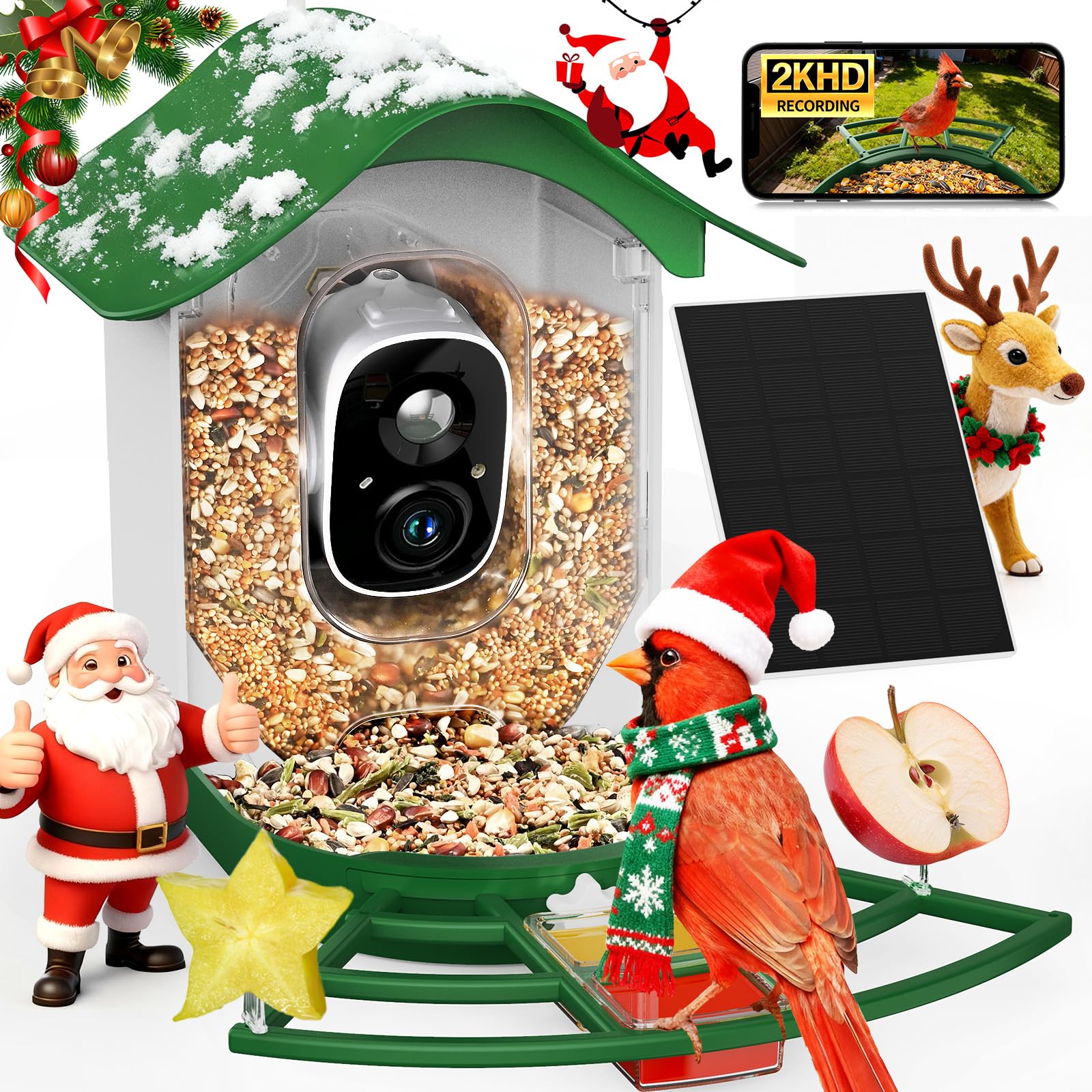 PeckCam smart bird feeder camera provides 2K live feed with instant bird alerts.