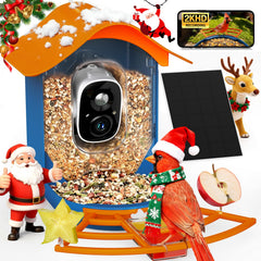 PeckCam Smart Bird Feeder camera 2K live view for detailed backyard birdwatching