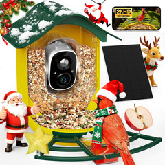 PeckCam Smart Bird Feeder camera delivers 2K live view for crisp wildlife footage.