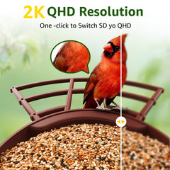 PeckCam solar panel and battery image highlights continuous power for uninterrupted birdwatching.