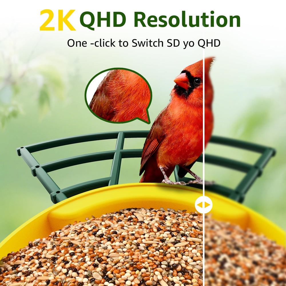 Solar panel on PeckCam feeder powers ongoing birdwatching without frequent charging.