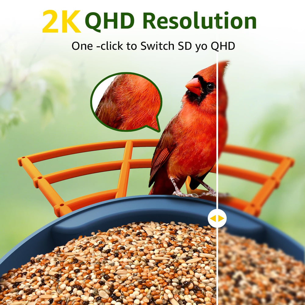 PeckCam solar-powered bird feeder panel ensures continuous outdoor birdwatching