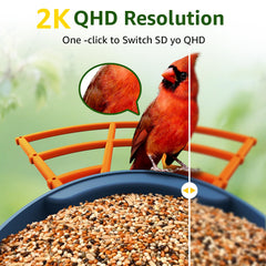 PeckCam solar-powered bird feeder panel ensures continuous outdoor birdwatching