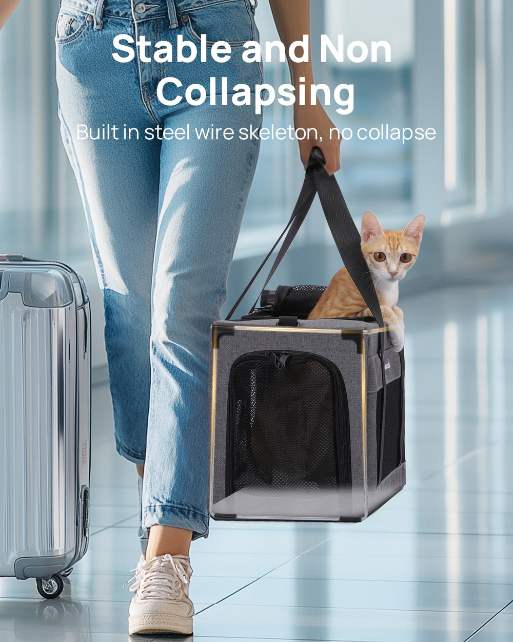 Pecute soft-sided pet carrier with stable frame prevents collapse during trips