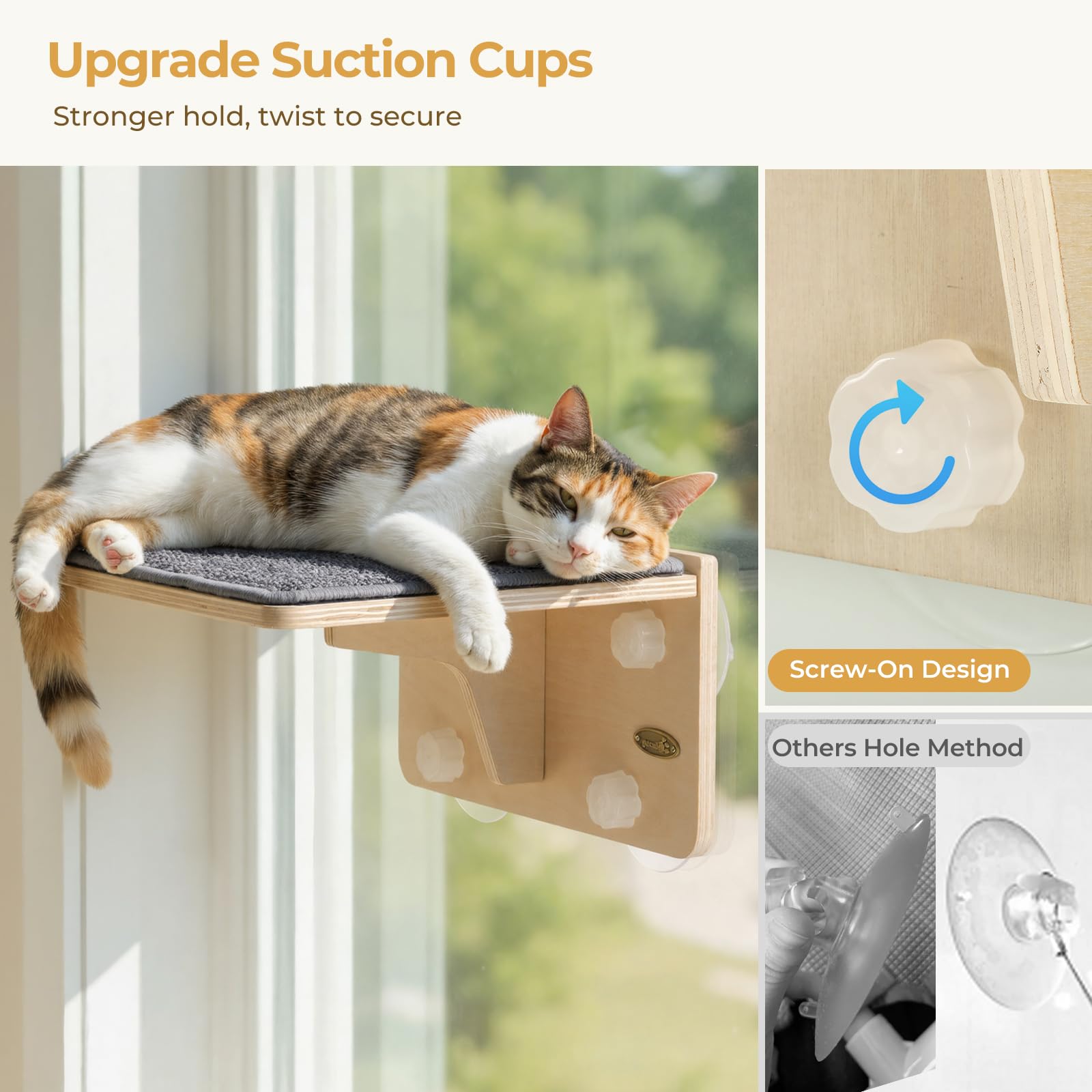 Pecute 12x10 inch perch suits small to medium cats near sunny windows.